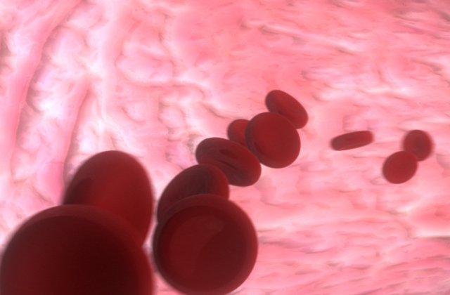 Blood Simulation